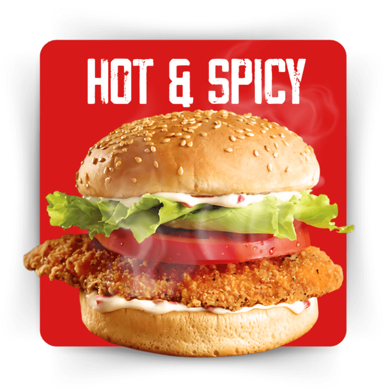 Hot & Spicy Burger